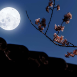 芙蓉·评论丨房伟：“月光少年”的成长远行