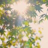 随笔丨周君：让时间慢下来  让心灵去旅行