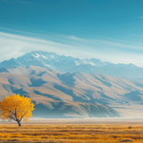 诗歌时刻丨谢知汝：我爱这世间繁华更深爱贫瘠的土地