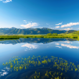 生态文学丨聂磊：春风又绿君山