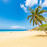 芙蓉·小说丨杨怡芬：摆渡鱼