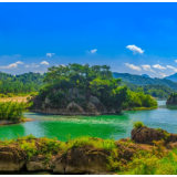 生态文学丨李利拉：大山知道我，草木记得我