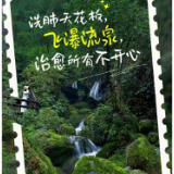 海报丨清明游德夯，峡谷寻春光