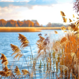 散文丨刘洣林：冬行白洋淀