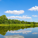 生态文学丨舒和平：把天地的絮语，悉数投给阳光