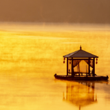 随笔丨王东常:我对齐白石老人人生的初步研究