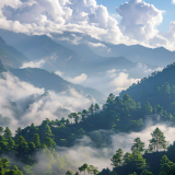 散文丨杨双奇:青山作证,长河有声