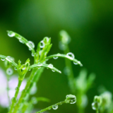 生态文学丨凡德元:诗意踏春