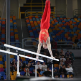 衡阳籍选手刘洋体操世界杯摘金夺铜