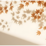 芙蓉·诗歌丨丝绒陨:秋日把不安传送给黑着手的人