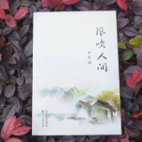 湘籍青年诗人林萧诗集《风吹人间》出版