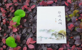湘籍青年诗人林萧诗集《风吹人间》出版