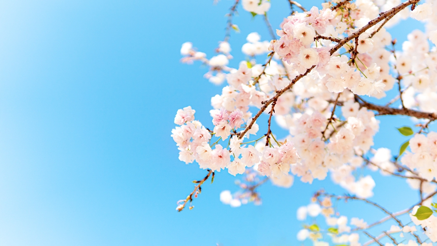 6054ab0e94f3d_副本.jpg 6054ab0e94f3d_副本.jpg