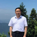 新乡土诗派丨陈惠芳：苏启平其人其诗