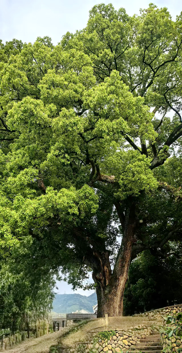 微信图片_20260522093001_3926_263.jpg 微信图片_20260522093001_3926_263.jpg