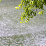 芙蓉·诗歌丨亚男：每滴雨都有去向