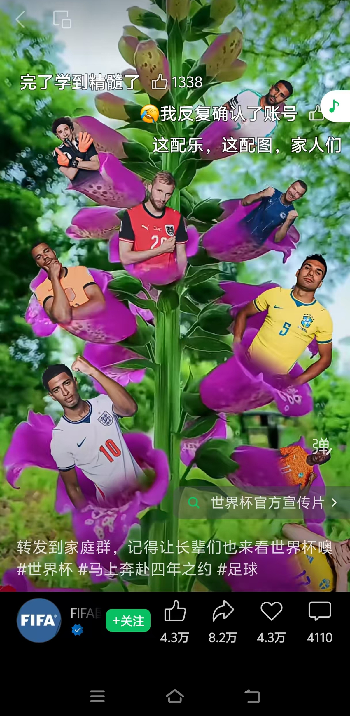 微信图片_20260617102402_37494_69_副本.jpg