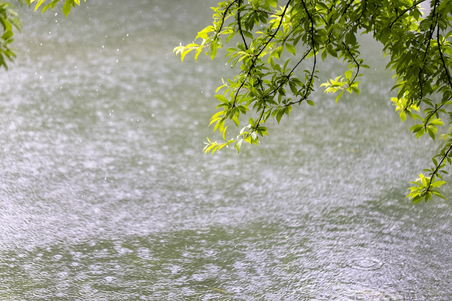 千库网_下雨天湖边绿叶清新唯美_摄影图编号21129560_副本.jpg 千库网_下雨天湖边绿叶清新唯美_摄影图编号21129560_副本.jpg