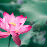 刘国瑛:二十四节气丛谈•夏至