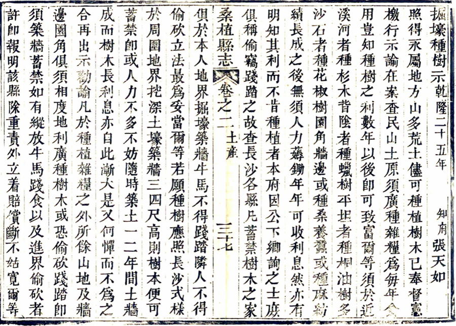 图片13.png
