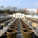 文艺大咖湘潭行丨肖凌之:对龙牌酱油的认知