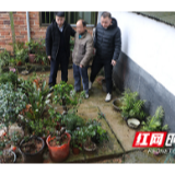 南岳：五旬大爷顺手“牵花”被起诉