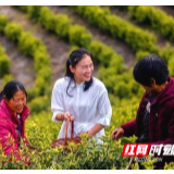 “搬”出穷山沟，“迁”进新生活——衡山县易地扶贫搬迁工作纪实