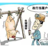 私设屠宰场宰杀生猪并销售，石鼓区两人获刑