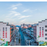 视频|探访石鼓区“最美农家”：城市太喧嚣我愿住农村