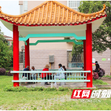 奋战百天·乡街赶考⑥︱珠晖区苗圃街道：微改造大变身，居民满意度逐渐上升