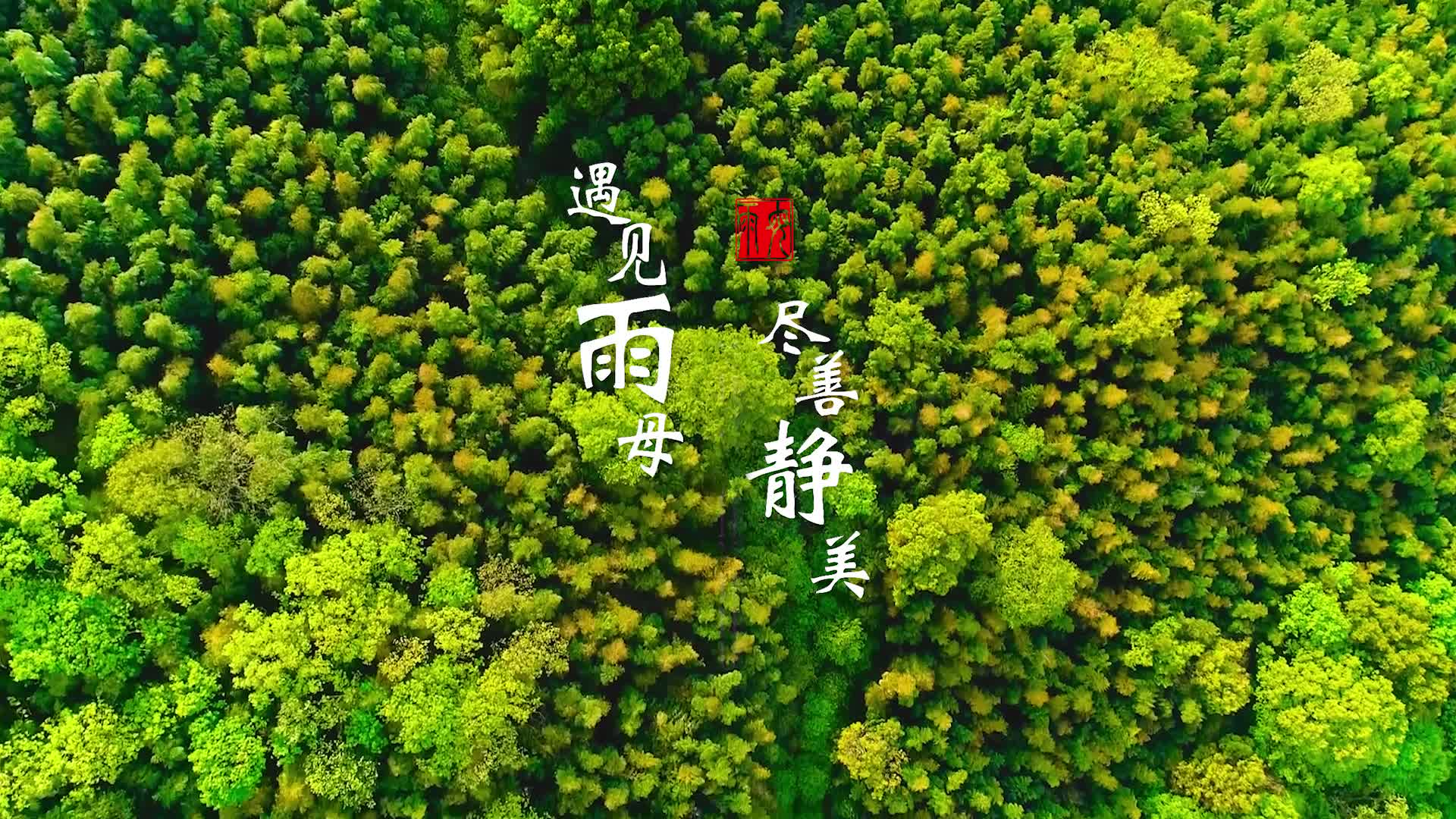 视频 | 衡阳蒸湘：书记“带货”推风景 静美雨母邀您来