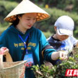 一笔协议50亿！  天下南岳迎疫而行旅游转型路