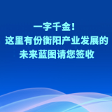 图解 | 一字千金！这里有份衡阳产业发展的未来蓝图请您签收
