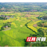 我的小康我的村⑥|角山村：良田美池 桑竹丝丝