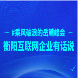 #乘风破浪的岳麓峰会 衡阳互联网企业有话说