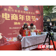 衡山：年货节正式启动 带你足不出户买好货