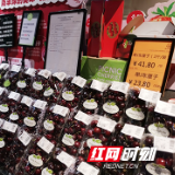 J级别10元/斤左右!车厘子价格跳水,衡阳市场表现如何?
