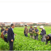 蒸湘区：田间地头宣讲党代会精神