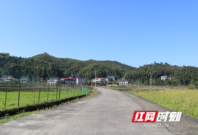衡山县望峰村：党建引领村民自治 家乡换貌展新颜