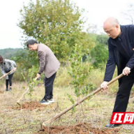 衡阳县抚育油茶为乡村振兴添“油”助力