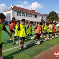 石鼓区：“扁平化”激活乡村教育