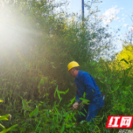 国网衡阳供电公司：“砍青地图”助力供电线路走廊更畅通