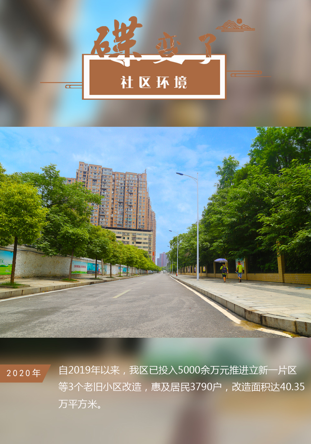 蝶变了.jpg