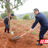 湖南珠晖：税企共植桂花芳