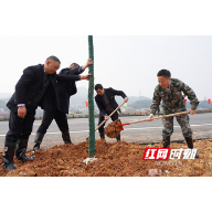 衡山县“四大家”领导参加义务植树活动 共建绿色新衡山