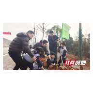 衡山：亲子同植树 与小树共成长