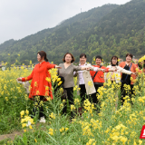 衡阳县万亩油菜花海“醉美”出圈，你还不来？