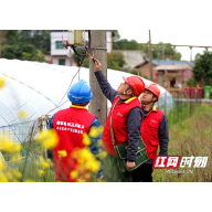 国网衡阳供电公司：春耕保供电 不误好农时