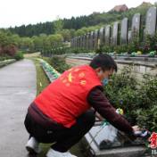 注意了！衡阳市殡仪馆清明祭扫已开始预约（附预约通道）