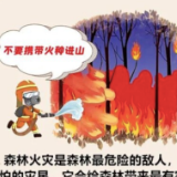 图说森林防火知识丨野外火源管理“十不要”，请牢记！